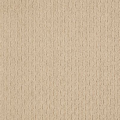 Anderson Tuftex AMERICAN HOME FASHIONS Another Place Chamois 00221_ZA812