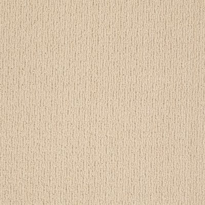 Anderson Tuftex AMERICAN HOME FASHIONS Ahead Of Time Calm Cream 00222_ZA820