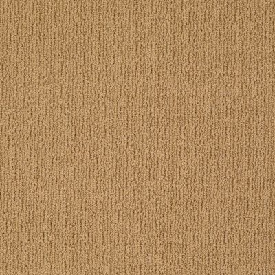 Anderson Tuftex AMERICAN HOME FASHIONS Ahead Of Time Colonial Gold 00226_ZA820
