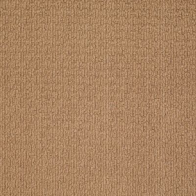 Anderson Tuftex AMERICAN HOME FASHIONS Ahead Of Time English Scone 00275_ZA820
