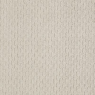 Anderson Tuftex AMERICAN HOME FASHIONS Another Place Cement 00512_ZA812