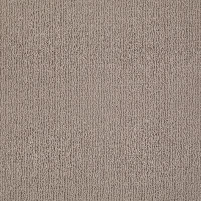Anderson Tuftex AMERICAN HOME FASHIONS Ahead Of Time Birch Shadow 00555_ZA820