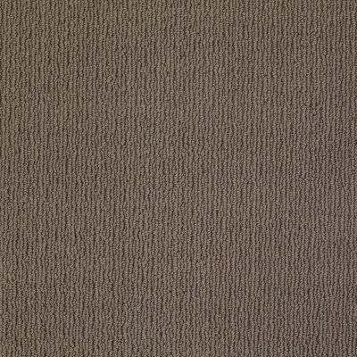 Anderson Tuftex AMERICAN HOME FASHIONS Ahead Of Time Castle Rock 00558_ZA820