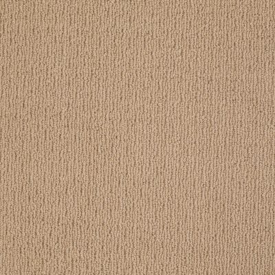 Anderson Tuftex AMERICAN HOME FASHIONS Ahead Of Time Baguette 00772_ZA820