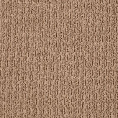 Anderson Tuftex AMERICAN HOME FASHIONS Another Place Buckaroo 00773_ZA812