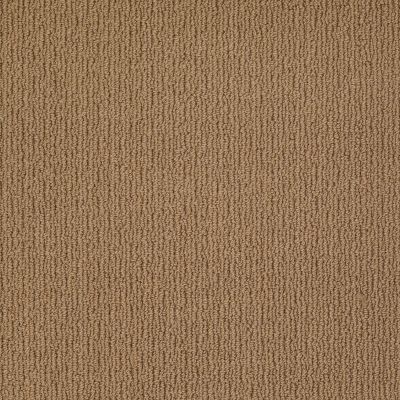 Anderson Tuftex AMERICAN HOME FASHIONS Ahead Of Time Boardwalk 00775_ZA820