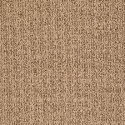 Anderson Tuftex AMERICAN HOME FASHIONS Ahead Of Time Bali Sand 00782_ZA820