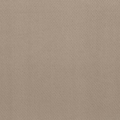Anderson Tuftex NFA Spring Harvest Dune 00152_262NF