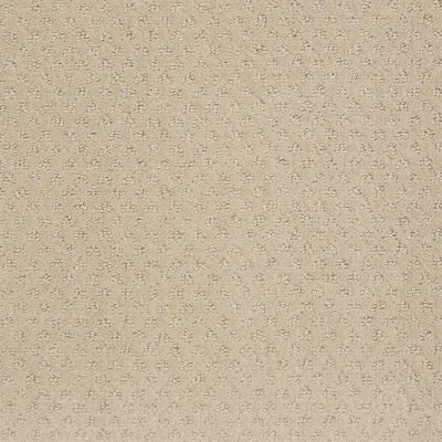 Anderson Tuftex NFA Spring Harvest Magic 00214_262NF