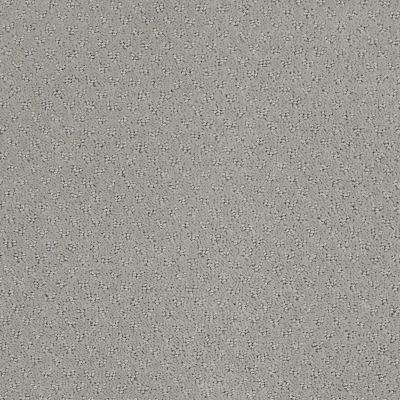 Anderson Tuftex NFA Spring Harvest Ash Mist 00511_262NF
