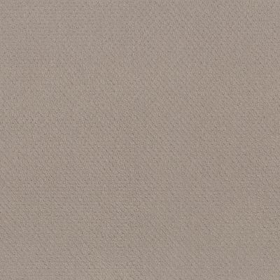 Anderson Tuftex NFA Spring Harvest Bit Of Gray 00552_262NF