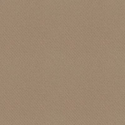 Anderson Tuftex NFA Spring Harvest Beach Grass 00117_262NF