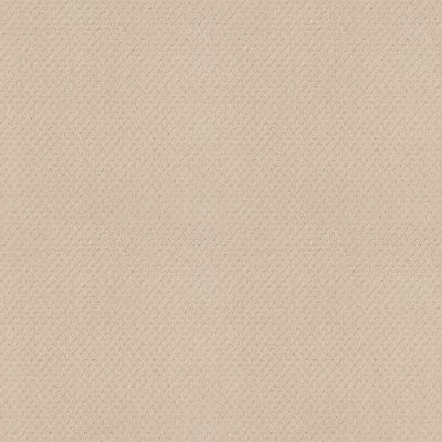 Anderson Tuftex NFA Spring Harvest Ivory 00120_262NF