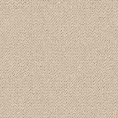 Anderson Tuftex NFA Spring Harvest Linen 00121_262NF