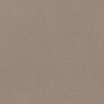 Anderson Tuftex NFA Spring Harvest Barista 00752_262NF