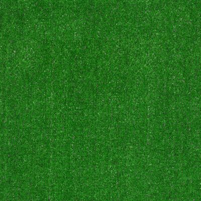 Philadelphia Commercial ARBOR VIEW (S) Grass Clippings 00300_54624