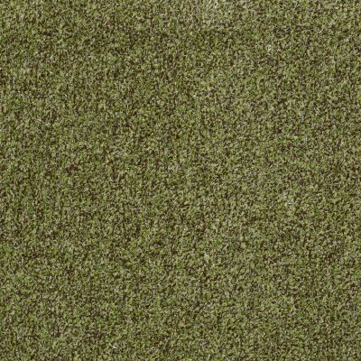 Philadelphia Commercial ARBOR VIEW (T) Mossy Bark 00310_54625