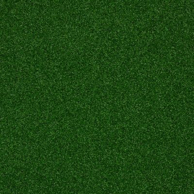 Shaw Grass SPRING CHOICE I Lawn Green 00300_150SG