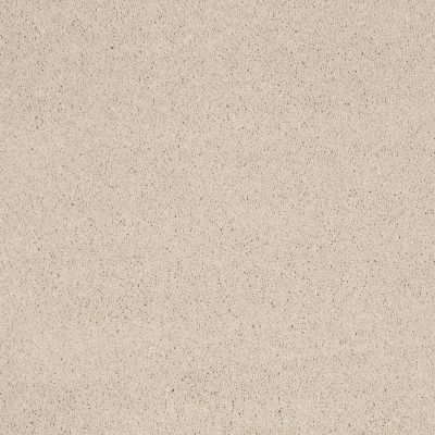 Anderson Tuftex Cashmere I Cheviot 00104_CCS01