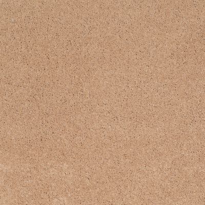 Anderson Tuftex Cashmere I Maplewood North 00600_CCS01
