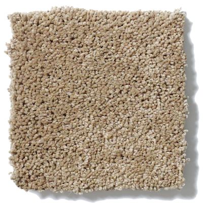 Anderson Tuftex Cashmere I Llama 00701_CCS01
