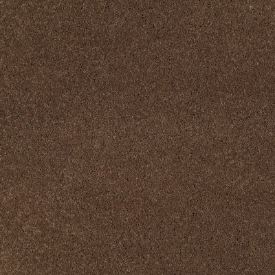 Anderson Tuftex Cashmere I Great Plains 00705_CCS01