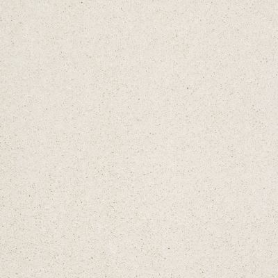 Anderson Tuftex CARESS BY SHAW Cashmere Ii Icelandic 00100_CCS02