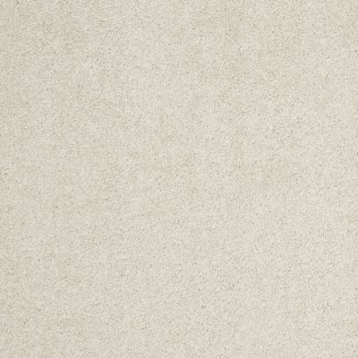 Anderson Tuftex CARESS BY SHAW Cashmere Ii Cheviot 00104_CCS02