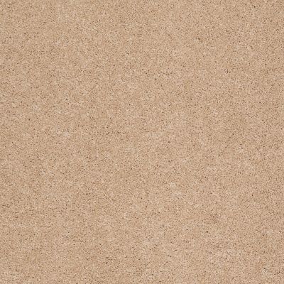 Anderson Tuftex CARESS BY SHAW Cashmere Ii Maplewood North 00600_CCS02
