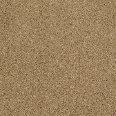 Anderson Tuftex CARESS BY SHAW Cashmere Ii Navajo 00703_CCS02