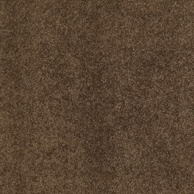 Anderson Tuftex CARESS BY SHAW Cashmere Ii Bison 00707_CCS02