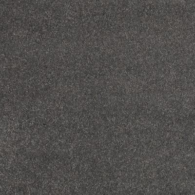 Anderson Tuftex CARESS BY SHAW Quiet Comfort Classic III Armory 00529_CCB98