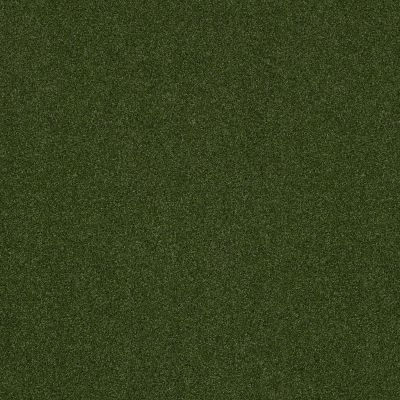 Shaw Grass ALL SEASONS I 5MM Field Green 00300_153SG