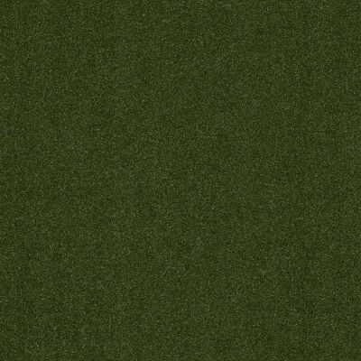 Shaw Grass ALL SEASONS II UNI Green 00300_156SG