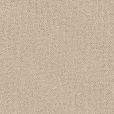 Shaw Floors Austin Park Better Beige 00150_5E819