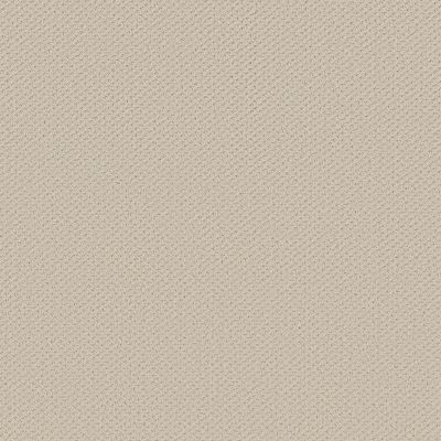 Shaw Floors Austin Park Alabaster 00172_5E819