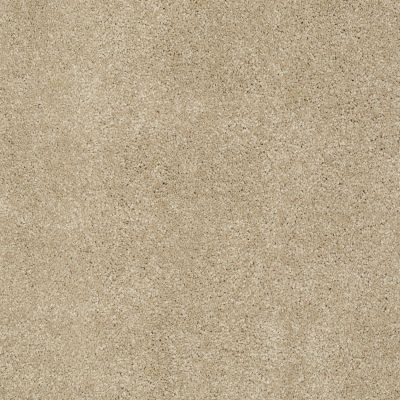 Anderson Tuftex FASHION DESTINATION ENAMORED I Sandcastle 00113_014CL
