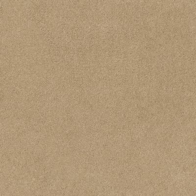 Anderson Tuftex FASHION DESTINATION ENAMORED I Semolina 00212_014CL