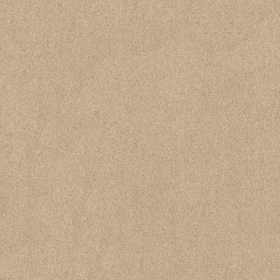 Anderson Tuftex FASHION DESTINATION ENAMORED I Dream Dust 00220_014CL