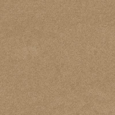 Anderson Tuftex FASHION DESTINATION ENAMORED I Chamois 00221_014CL