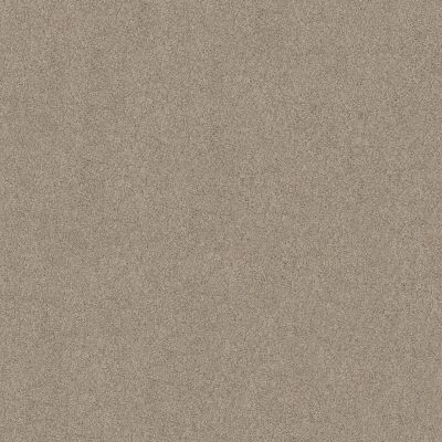 Anderson Tuftex FASHION DESTINATION ENAMORED I Cement 00512_014CL