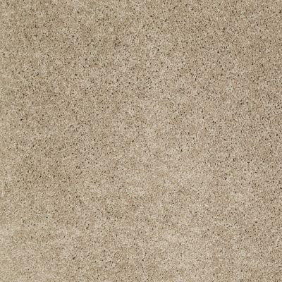 Anderson Tuftex FASHION DESTINATION ENAMORED I Oyster 00513_014CL