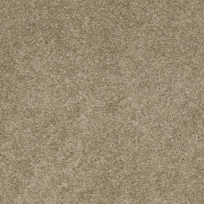 Anderson Tuftex FASHION DESTINATION ENAMORED I Dusk 00534_014CL