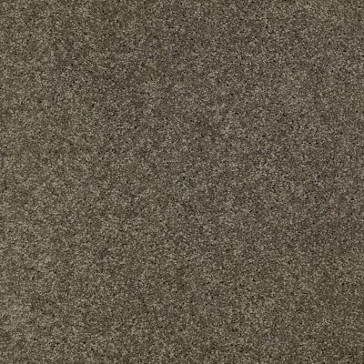 Anderson Tuftex FASHION DESTINATION ENAMORED I Charcoal 00539_014CL