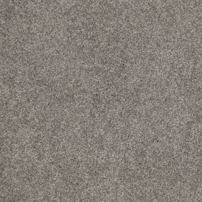 Anderson Tuftex FASHION DESTINATION ENAMORED I Titanium 00544_014CL