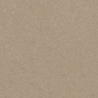 Anderson Tuftex FASHION DESTINATION ENAMORED I Agate 00712_014CL