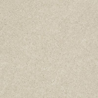 Anderson Tuftex Pet Perfect IZZY Royal Cream 00103_Z6950