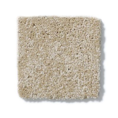 Anderson Tuftex Pet Perfect IZZY Biscuit 00104_Z6950