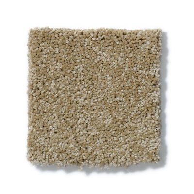 Anderson Tuftex Pet Perfect IZZY Passive Tan 00700_Z6950