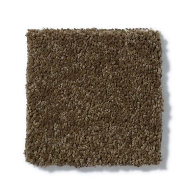 Anderson Tuftex Pet Perfect IZZY Derby Brown 00703_Z6950